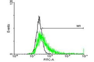 Flow Cytometry (FACS) image for anti-Major Histocompatibility Complex, Class II, DQ beta 1 (HLA-DQB1) (AA 1-261) antibody (ABIN1327606)