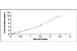 LMF2 ELISA Kit