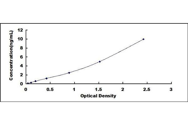 LMF2 ELISA Kit