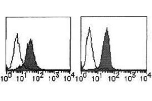 Flow Cytometry (FACS) image for anti-MHC Class I Polypeptide-Related Sequence A (MICA) antibody (ABIN1108244) (MICA antibody)