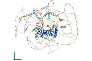 AlphaFold protein structure predicition of Human Recombinant PER3 Protein, UniprotID P56645