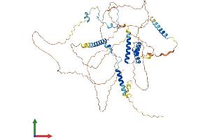 AlphaFold protein structure predicition of Human Recombinant SPATA7 Protein, UniprotID Q9P0W8