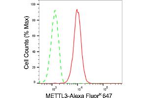 Flow cytometric analysis of METTL3 expression in HepG2 cells using METTL3 antibody (ABIN7799400), 1:2,000). (Recombinant METTL3 antibody)