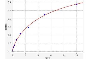 TSC22D3 ELISA Kit