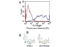 Specificity testing of GM1D6. (FPR2 antibody)