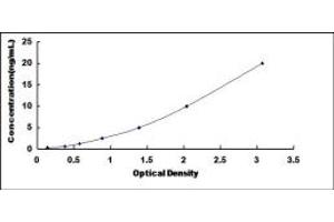 Typical standard curve (CENPE ELISA Kit)