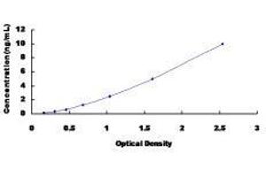ELISA image for Cytochrome P450, Family 11, Subfamily A, Polypeptide 1 (CYP11A1) ELISA Kit (ABIN433760)