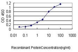 Detection limit for recombinant GST tagged PSPH is approximately 0. (PSPH antibody  (AA 1-225))