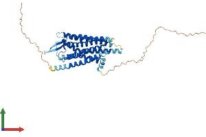 AlphaFold protein structure predicition of Mouse Recombinant Nmbr Protein, UniprotID O54799 (NMBR Protein (AA 1-390) (His tag))