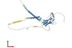 AlphaFold protein structure predicition of Human Recombinant BSCL2 Protein, UniprotID Q96G97 (BSCL2 Protein (AA 1-398) (His tag))