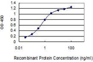 Detection limit for recombinant GST tagged KIAA1143 is 0. (KIAA1143 antibody  (AA 1-154))