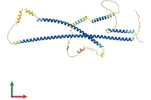 Protein Structure (PS) image for Cerebellar Degeneration-Related Protein 2, 62kDa (CDR2) (AA 1-455) protein (His tag) (ABIN7556830)