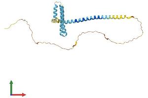 Protein Structure (PS) image for Receptor Accessory Protein 4 (REEP4) (AA 1-257) protein (His tag) (ABIN7559424)