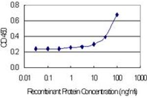 Detection limit for recombinant GST tagged CST2 is 3 ng/ml as a capture antibody. (CST2 antibody  (AA 1-141))