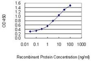 Detection limit for recombinant GST tagged C13orf15 is 0. (RGC32 antibody  (AA 1-117))