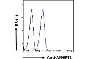 ABIN768552 Flow cytometric analysis of paraformaldehyde fixed A431 cells (blue line), permeabilized with 0. (Angiopoietin 1 antibody  (Internal Region))