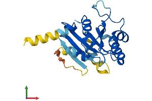 Protein Structure (PS) image for SAR1 Homolog B (SAR1B) (AA 1-198) protein (His tag) (ABIN7560531)