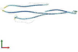 AlphaFold protein structure predicition of Human Recombinant CCDC170 Protein, UniprotID Q8IYT3