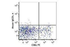 Flow Cytometry (FACS) image for anti-Chemokine (C Motif) Receptor 1 (XCR1) antibody (Biotin) (ABIN2660786) (XCR1 antibody  (Biotin))