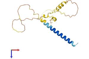 AlphaFold protein structure predicition of Mouse Recombinant Fam163b Protein, UniprotID Q8BUM6 (FAM163B Protein (AA 1-167) (His tag))