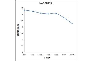 Antigen: 2 µg/100 µL  Primary: Antiserum, 1:500, 1:1000, 1:2000, 1:4000, 1:8000, 1:16000, 1:32000;  Secondary: HRP conjugated Rabbit Anti-Goat IgG at 1: 5000;  TMB staining Read the data in Microplate Reader by 450nm. (EIF5 antibody  (AA 331-431))