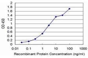 ELISA image for anti-Bol, Boule-Like (BOLL) (AA 185-284) antibody (ABIN599301) (BOLL antibody  (AA 185-284))