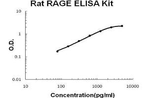 Rat RAGE PicoKine ELISA Kit standard curve (RAGE ELISA Kit)