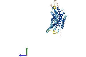 AlphaFold protein structure predicition of Mouse Recombinant Gpr34 Protein, UniprotID Q9R1K6