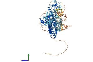 AlphaFold protein structure predicition of Mouse Recombinant Nlrp1b Protein, UniprotID Q2LKV2 (NLR Family, Pyrin Domain Containing 1B (NLRP1B) (AA 1-906) protein (His tag))