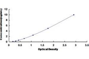 Typical standard curve (SPTLC2 ELISA Kit)