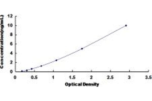 SPTLC2 ELISA Kit