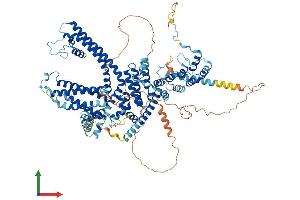 Protein Structure (PS) image for Transient Receptor Potential Cation Channel, Subfamily C, Member 4 (TRPC4) (AA 1-974) protein (His tag) (ABIN7565130)