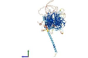 AlphaFold protein structure predicition of Mouse Recombinant Stxbp5l Protein, UniprotID Q5DQR4 (STXBP5L Protein (AA 1-1185) (His tag))
