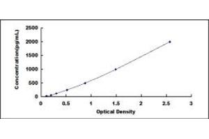 Typical standard curve (MYH7 ELISA Kit)