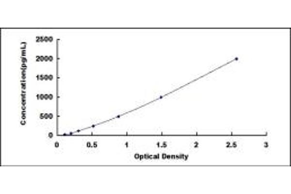 MYH7 ELISA Kit