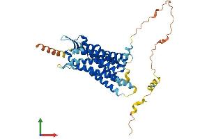 Protein Structure (PS) image for G Protein-Coupled Receptor 151 (GPR151) (AA 1-419) protein (His tag) (ABIN7548034)