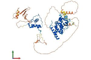 Protein Structure (PS) image for Nuclear Receptor Subfamily 2, Group C, Member 1 (NR2C1) (AA 1-590) protein (His tag) (ABIN7563789)