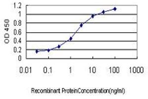 Detection limit for recombinant GST tagged UBE2E2 is approximately 0. (UBE2E2 antibody  (AA 1-201))
