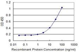 Detection limit for recombinant GST tagged AXL is 0. (AXL antibody  (AA 787-885))