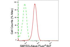 Flow cytometric analysis of SMYD3 expression in HepG2 cells using SMYD3 antibody (ABIN7800322), 1:2,000). (Recombinant SMYD3 antibody)