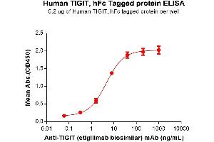 T Cell Immunoreceptor with Ig and ITIM Domains (TIGIT) (AA 22-141) protein (Fc Tag)