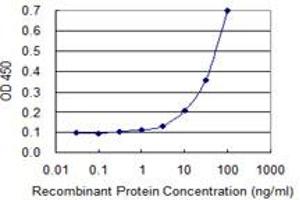 Detection limit for recombinant GST tagged BHLHE41 is 1 ng/ml as a capture antibody. (BHLHE41 antibody  (AA 203-282))