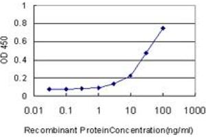 Detection limit for recombinant GST tagged FUT10 is approximately 1ng/ml as a capture antibody. (FUT10 antibody  (AA 1-92))