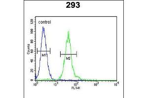 Flow cytometric analysis of 293 cells (right histogram) compared to a negative control cell (left histogram). (M-CSF/CSF1 antibody  (AA 230-257))