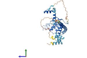 AlphaFold protein structure predicition of Human Recombinant ST13 Protein, UniprotID P50502