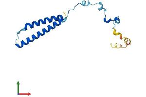 AlphaFold protein structure predicition of Mouse Recombinant Mmgt1 Protein, UniprotID Q8K273