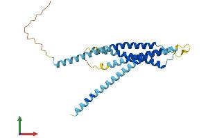 AlphaFold protein structure predicition of Human Recombinant ORAI2 Protein, UniprotID Q96SN7