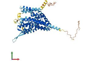 AlphaFold protein structure predicition of Human Recombinant SLC1A4 Protein, UniprotID P43007 (SLC1A4 Protein (AA 1-532) (His tag))