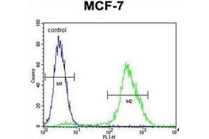 Fow cytometric analysis of MCF-7 cells using PMPCA Antibody (C-term) Cat. (PMPCA antibody  (C-Term))