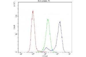 Flow cytometry testing of human K562 cells with Cytochrome C antibody at 1ug/10^6 cells (blocked with goat sera)